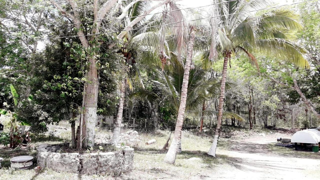Hotel Templo Maya Шпухиль Экстерьер фото
